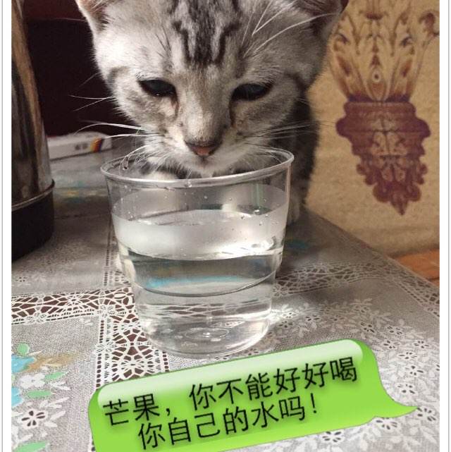 威斯康星大学马莉那特分校成绩单修改